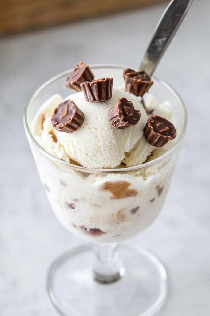 Ninja Creami Copycat Blizzard
