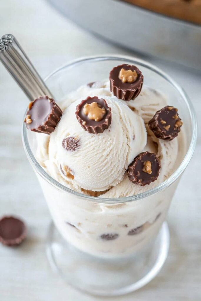 Ninja Creami Copycat Blizzard Recipe