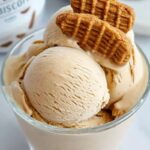 Ninja Creami Cookie Butter Ice Cream