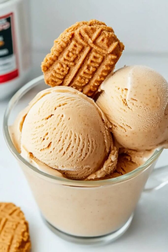 Ninja Creami Cookie Butter Ice Cream Recipe