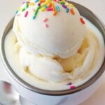 Ninja Creami Frozen Yogurt