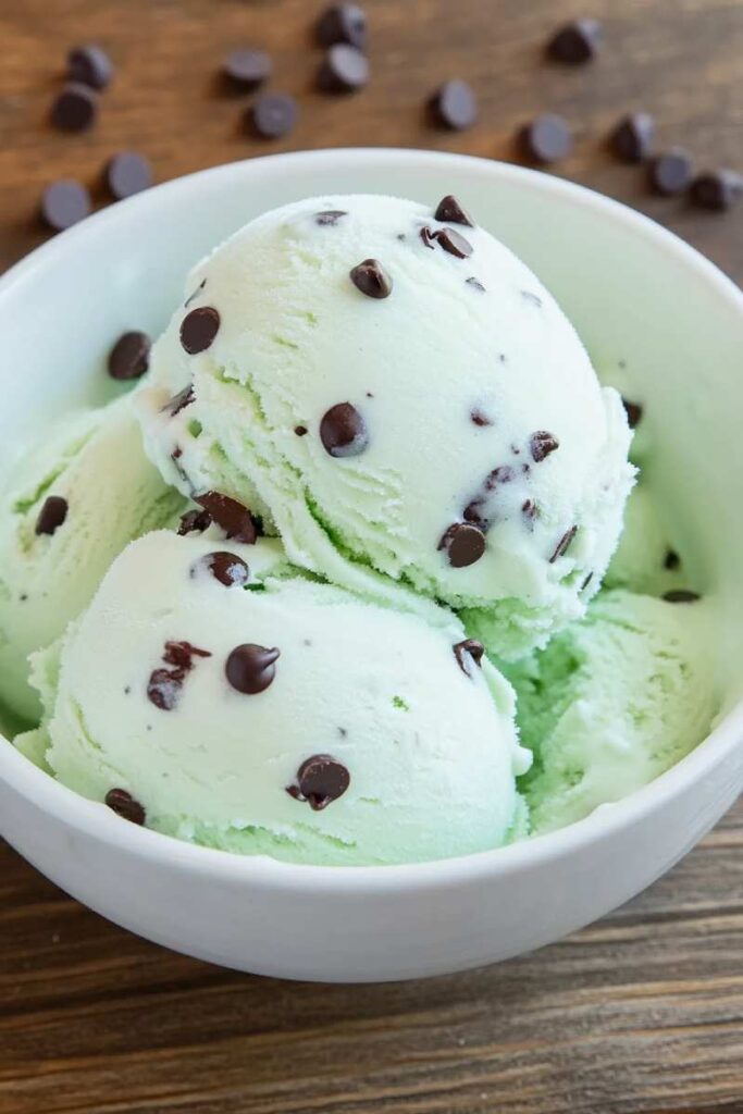 Ninja Creami Mint Chocolate Chip Ice Cream