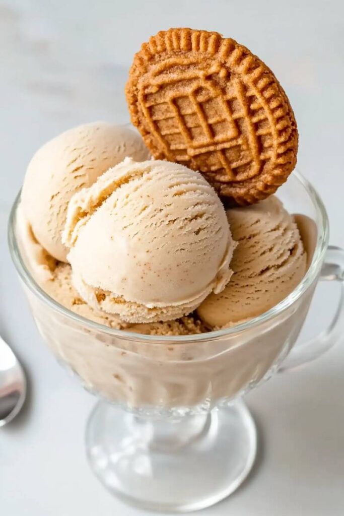 Storing Ninja Creami Cookie Butter Ice Cream
