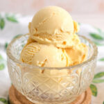 Ninja Creami Vanilla Gelato