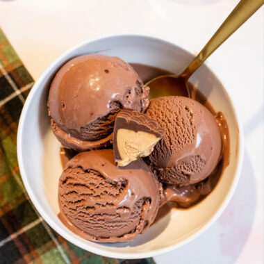 Ninja Creami Chocolate Peanut Butter Cup Protein Ice Cream