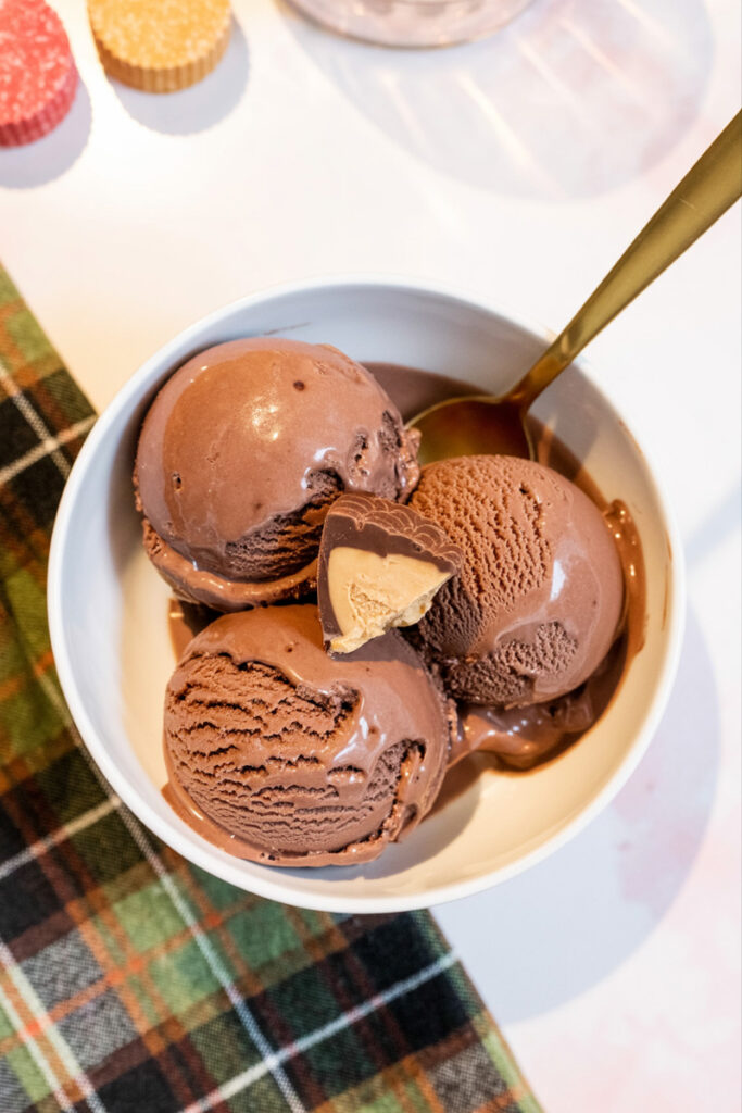 Ninja Creami Chocolate Peanut Butter Cup Protein Ice Cream