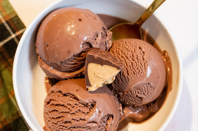 Ninja Creami Chocolate Peanut Butter Cup Protein Ice Cream