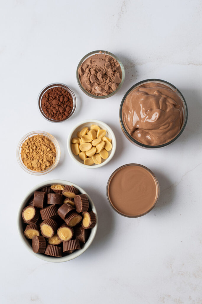 Ninja Creami Chocolate Peanut Butter Cup Protein Ice Cream Ingredients