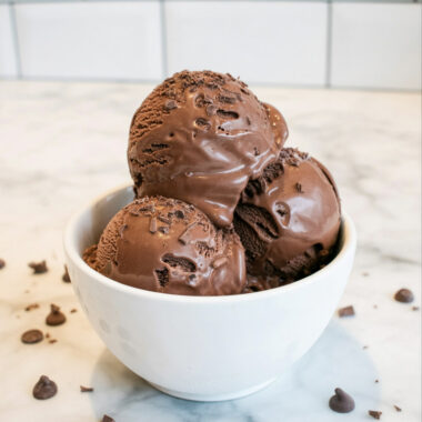 Ninja Creami Double Dark Chocolate Chip Protein Ice Cream