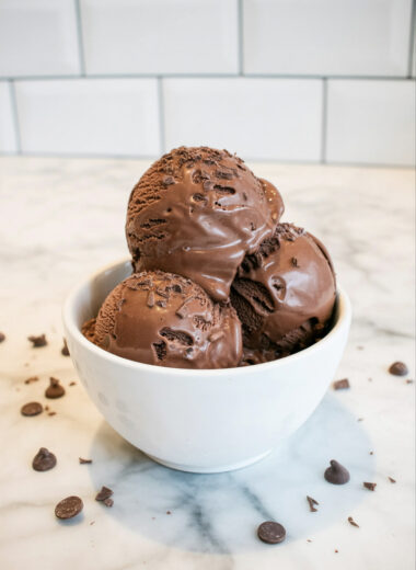 Ninja Creami Double Dark Chocolate Chip Protein Ice Cream