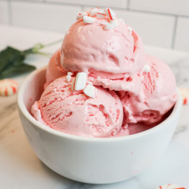 Ninja Creami Peppermint Protein Ice Cream
