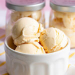 Ninja Creami Vanilla Protein Ice Cream