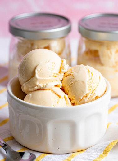 Ninja Creami Vanilla Protein Ice Cream