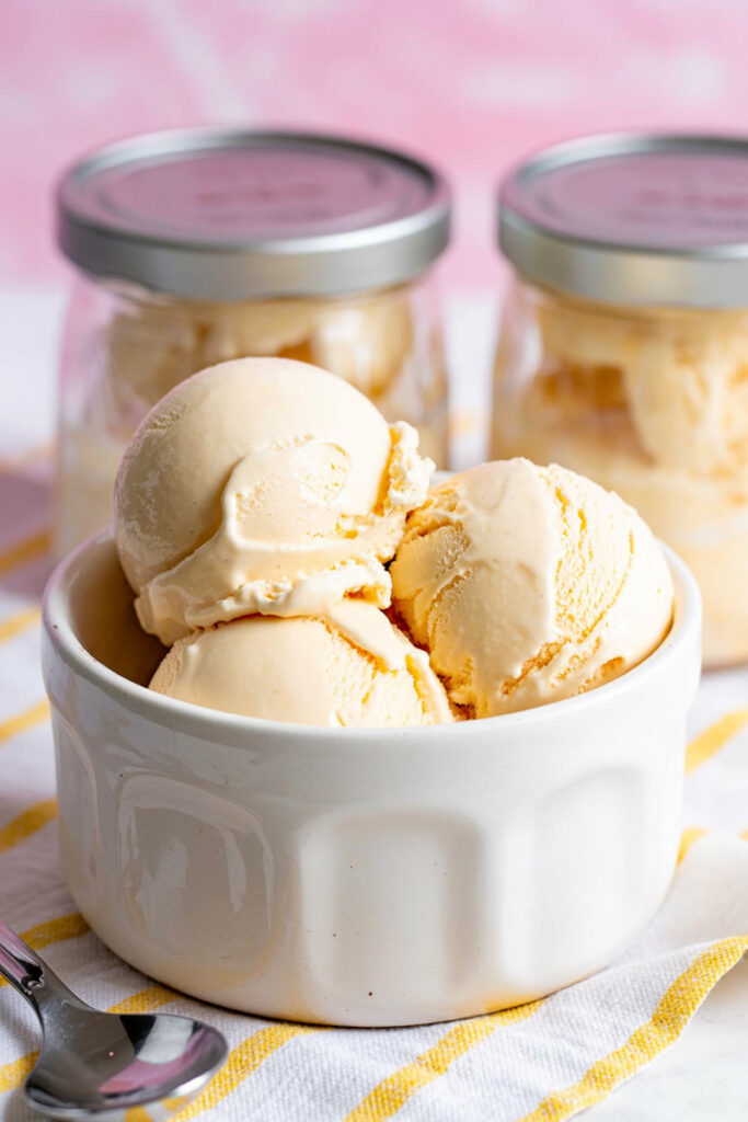Ninja Creami Vanilla Protein Ice Cream