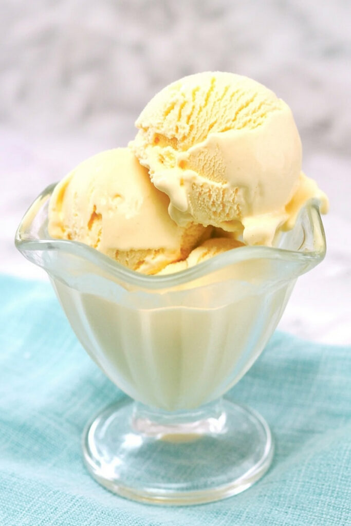 How to Serve Ninja Creami Vanilla Pudding Ice Cream