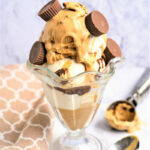 Ninja Creami Vegan Peanut Butter Gelato