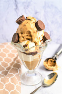 Ninja Creami Vegan Peanut Butter Gelato